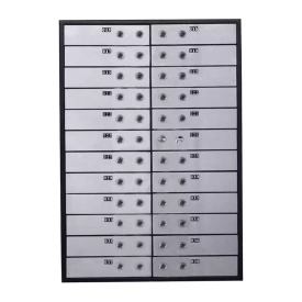 Блок депозитных ячеек Valberg DB-24S DGL